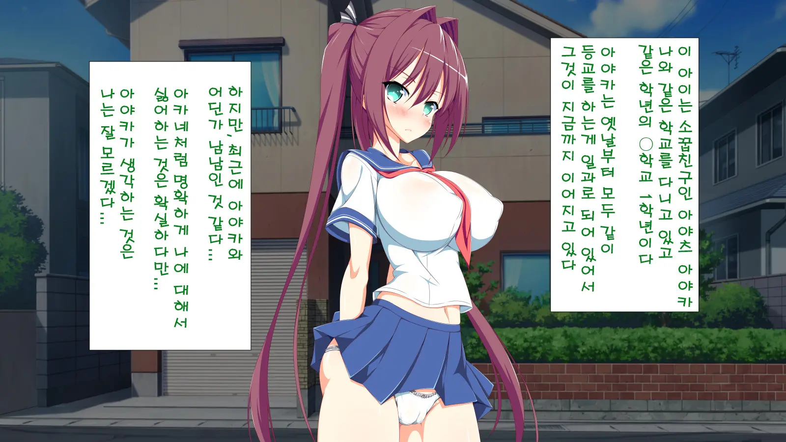 Inran Virus | Lewd Virus Ep.1